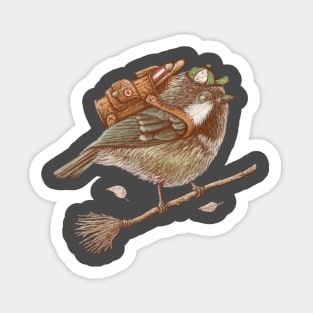 Little bird back to school Sticker